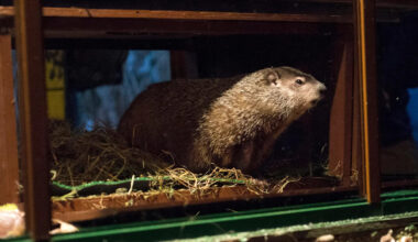 Yahoo lifestyle home