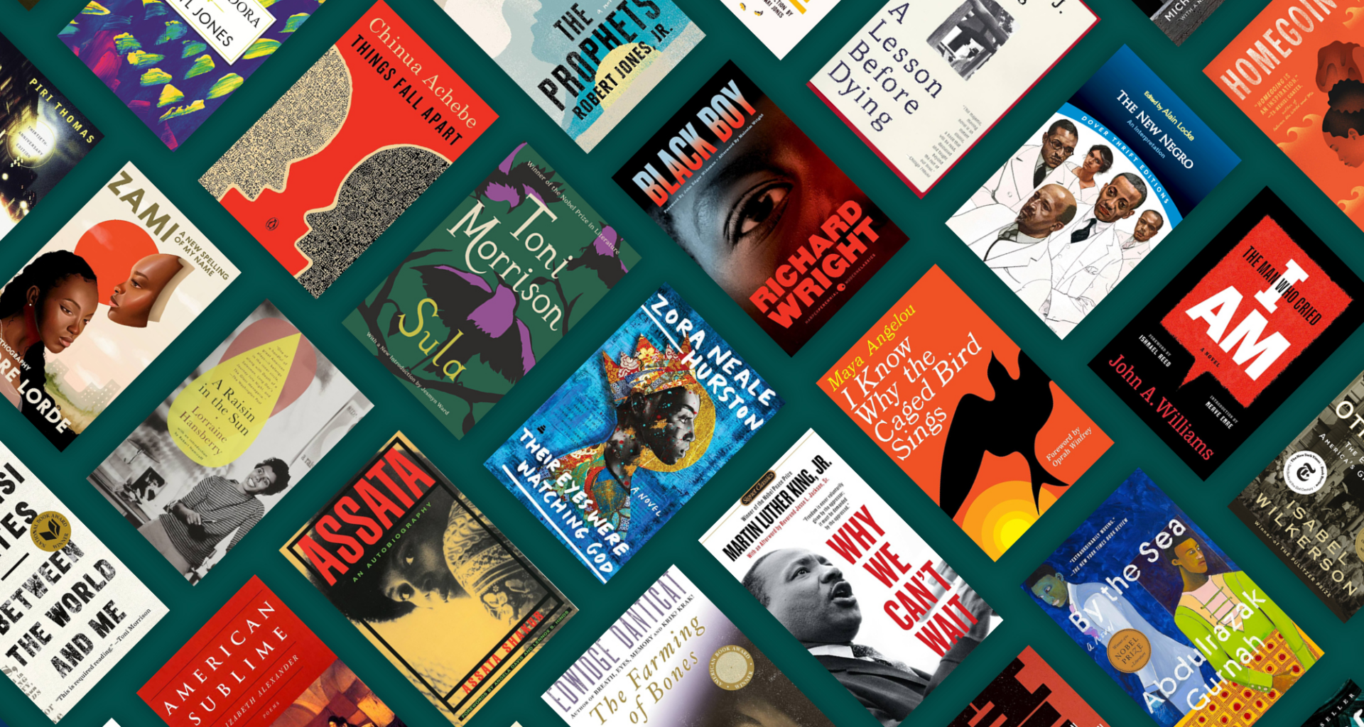 Schomburg Center releases special list of 100 books by Black authors