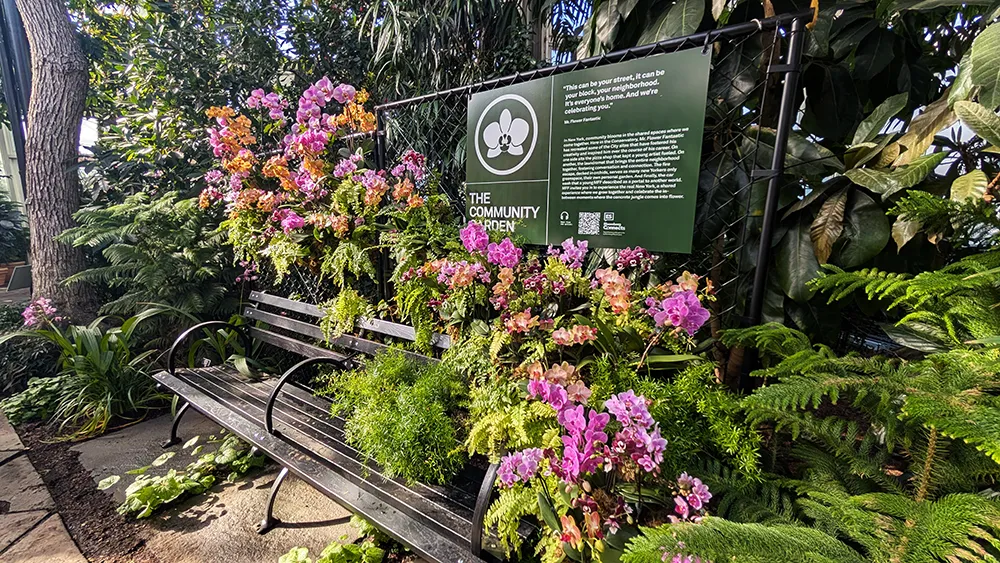 nybg orchid show