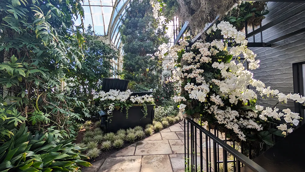 nybg orchid show