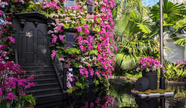 New York Botanical Garden's Orchid Show Turns NYC Street Life Into Flowers