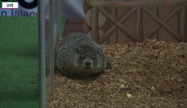 Groundhog Day: Staten Island Chuck's prediction