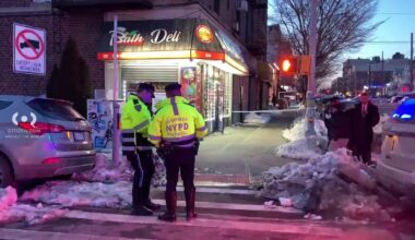 11-year-old girl Amira Aminova killed by school bus; driver charged