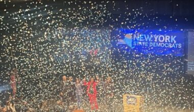 NY Dems select candidates with few surprises, much fanfare