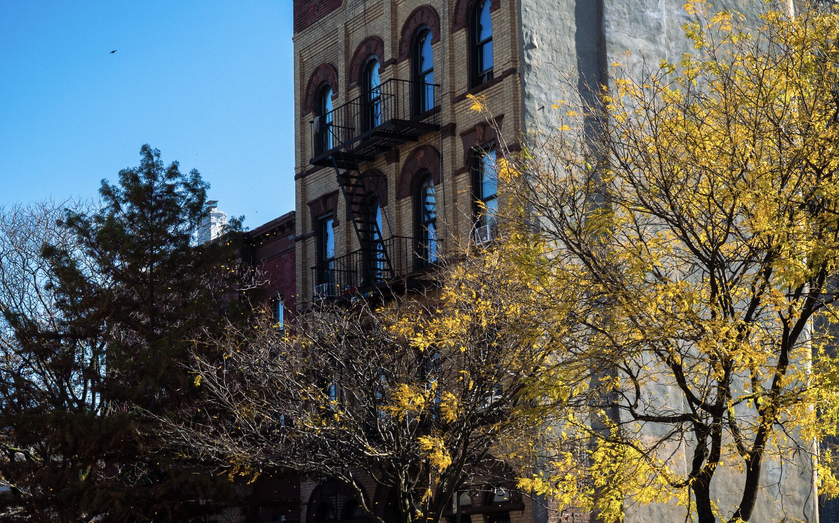 List of the 10 Best NYC Neighborhoods for Homebuyers in 2026