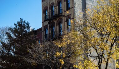 List of the 10 Best NYC Neighborhoods for Homebuyers in 2026