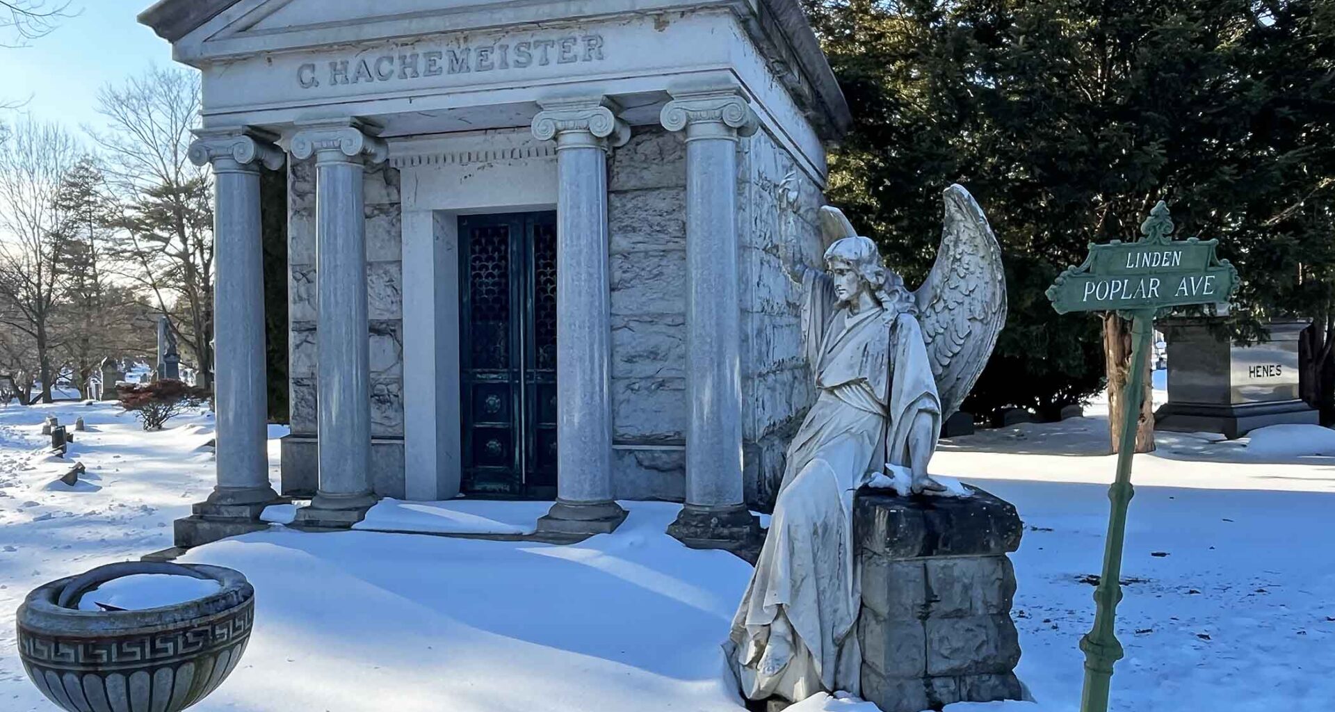 A Wonderland of Solitude in the Bronx