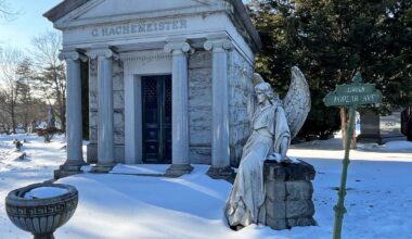 A Wonderland of Solitude in the Bronx