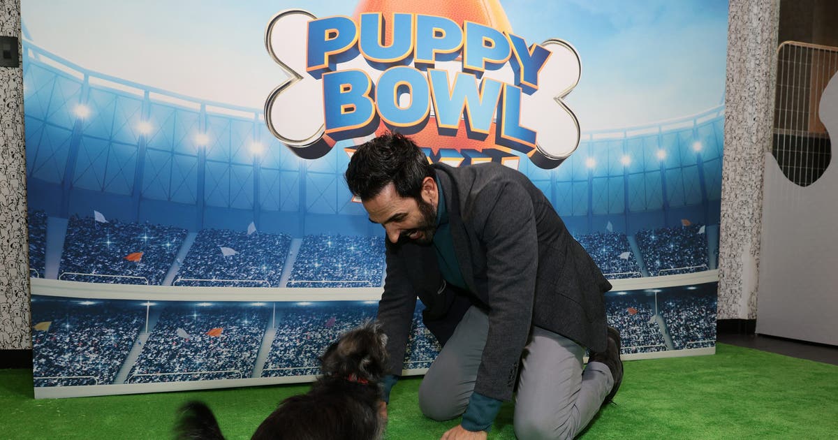 Puppy Bowl 2026: What time, how to watch