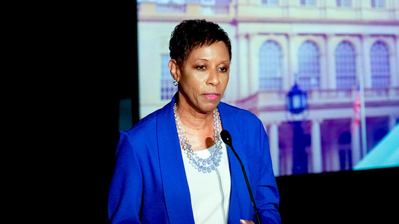 Hochul's new running mate wanted to let noncitizens vote in city elections