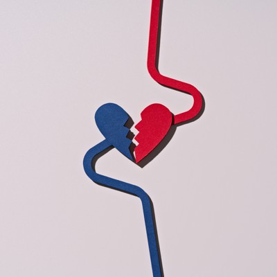 A desire to secede may be the one thing most New York regions have in common