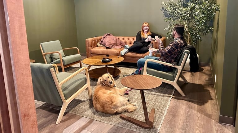 The back room at Dark Horse Coffee & Kitchen in...