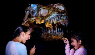 Spend a real-life 'Night at the Museum' in NYC
