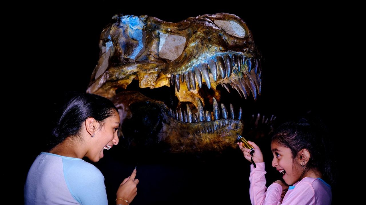 Spend a real-life 'Night at the Museum' in NYC