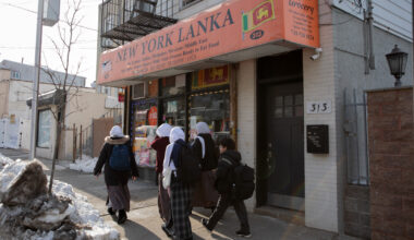 New York City Republicans risk losing lone GOP voice in Congress