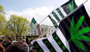 New York Times admits marijuana legalization has caused serious problems