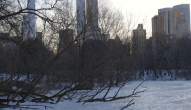 NYC cold snap death toll rises to 19 after man found under Manhattan Bridge, official says