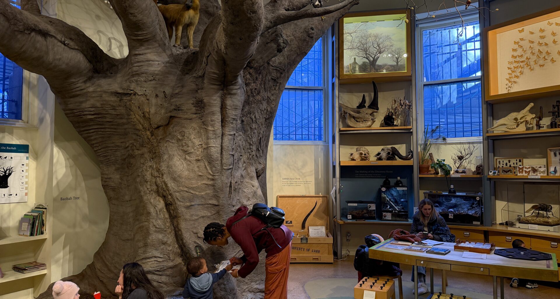 A couple pairs of toddlers and adults in a room with a large fake tree, shelves with animal skulls and other artifacts behind them.