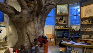 A couple pairs of toddlers and adults in a room with a large fake tree, shelves with animal skulls and other artifacts behind them.