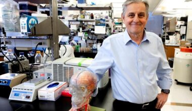 Body's 'super highway,' the vagus nerve, stimulates work of Northwell neurosurgeon Dr. Kevin J. Tracey