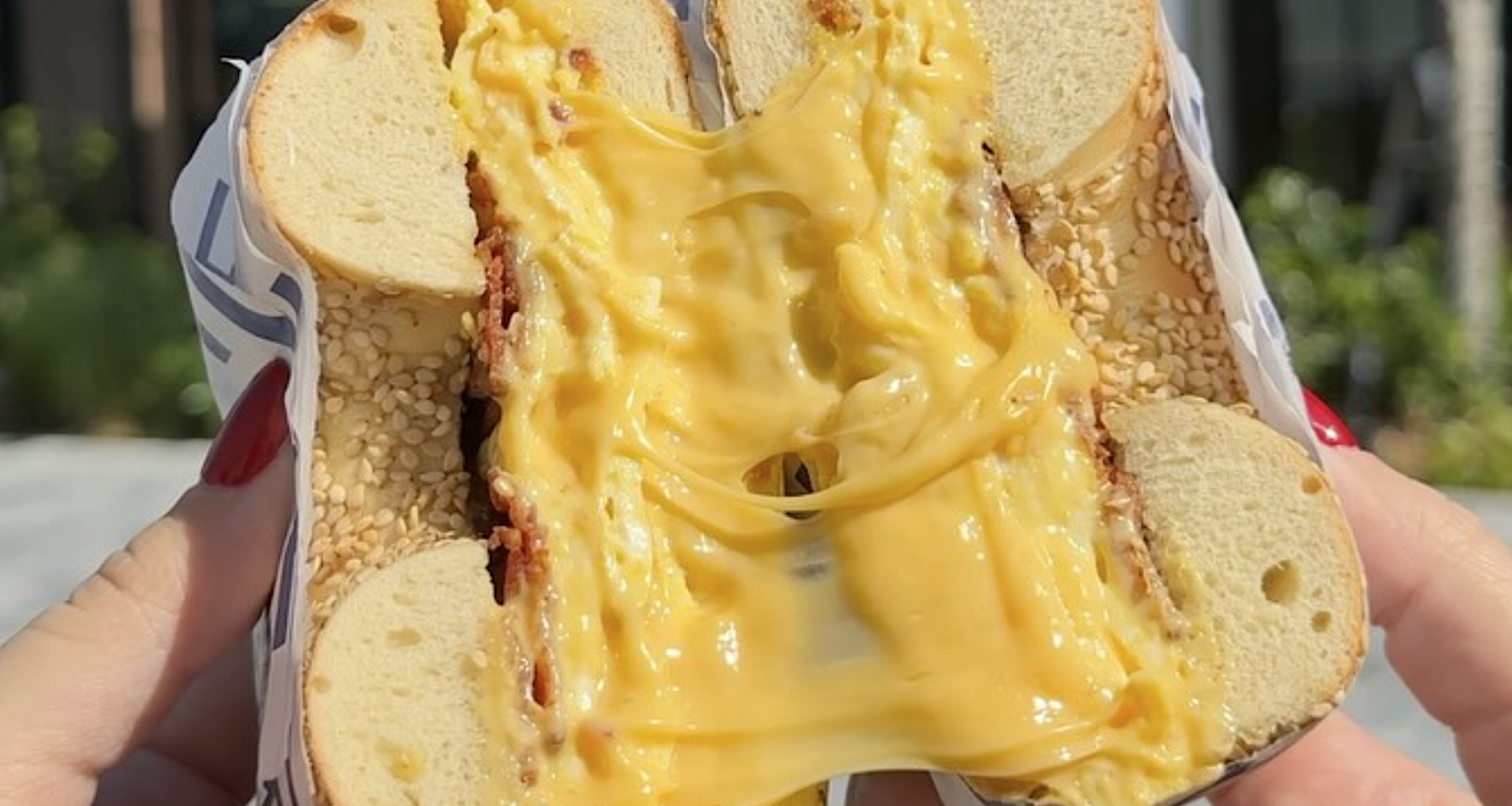 Legendary New York Bagel Shop Sets Miami Opening Date