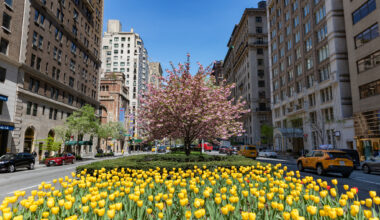 The Best Time of Year to Buy a Home in NYC