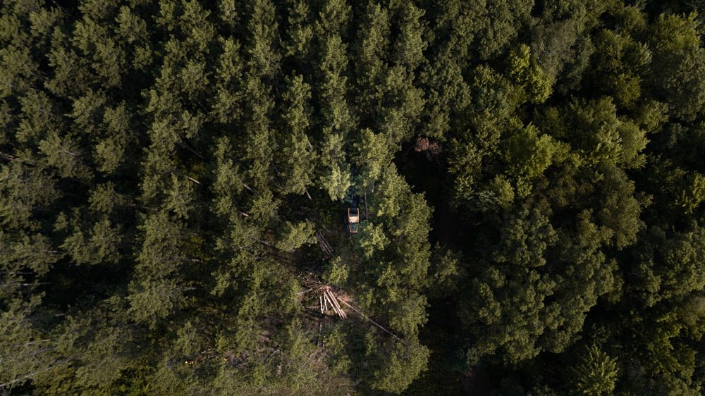 Bell Lumber & Pole Expanding Operations in De Queen