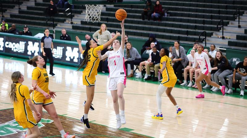 Women's Basketball Wraps Homestand Against Canisius Saturday