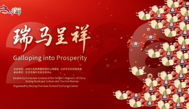 Beijing Overseas Cultural Exchange Center Co-Organizes Chinese Zodiac Flash Mob Crossing the Pacific, "Chinese New Year" Fever Sweeps New York Streets