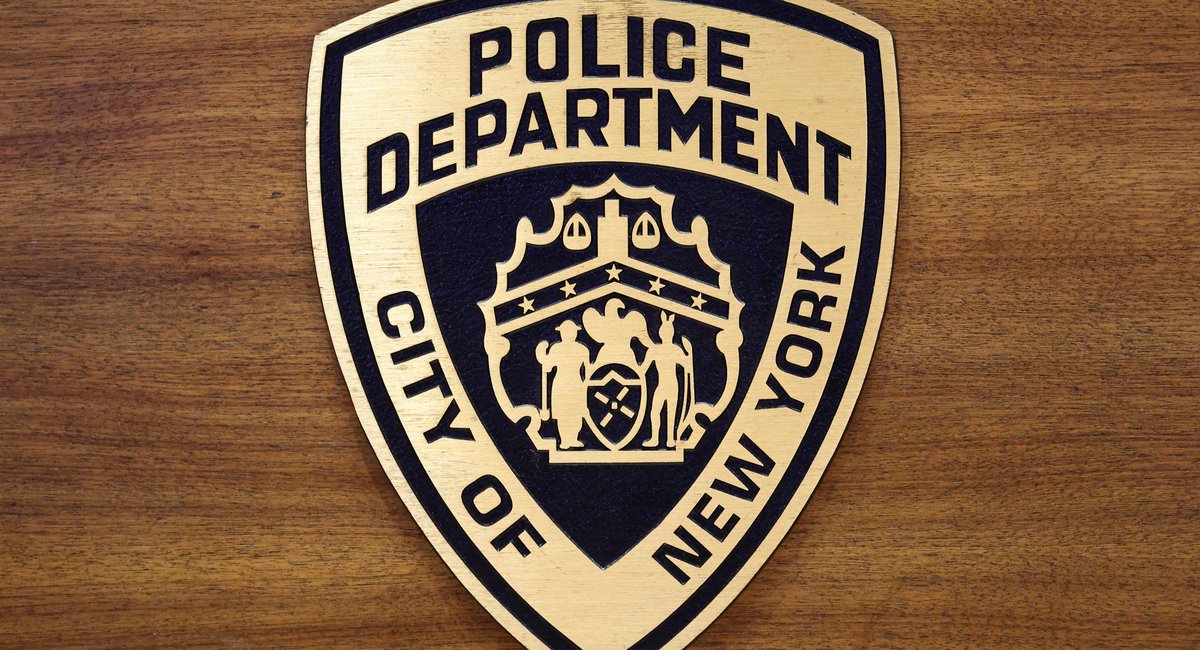 NYPD charges nearly 20 people after chaotic scene at Bronx mall