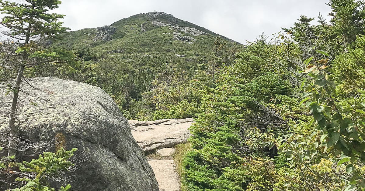 NJ hiker freezes to death climbing New York's tallest mountain with dog