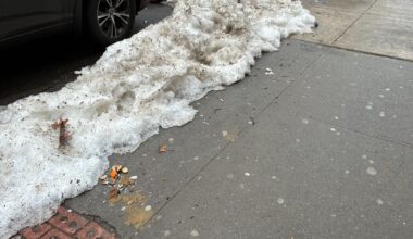 Dog poop data reveals New York City's crappiest block