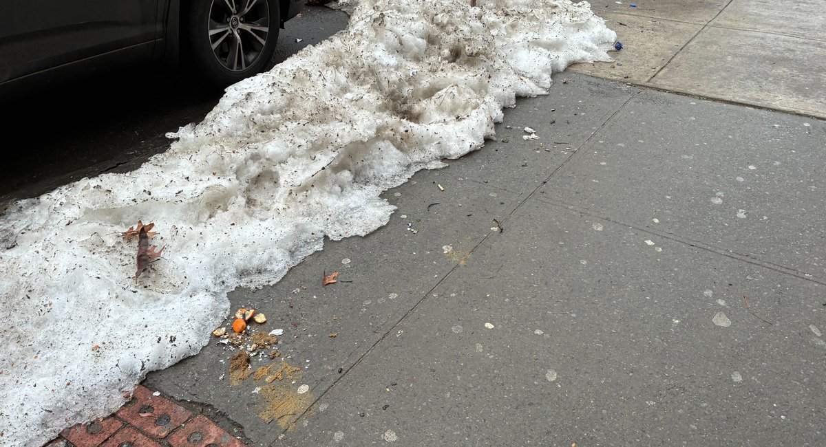 Dog poop data reveals New York City's crappiest block