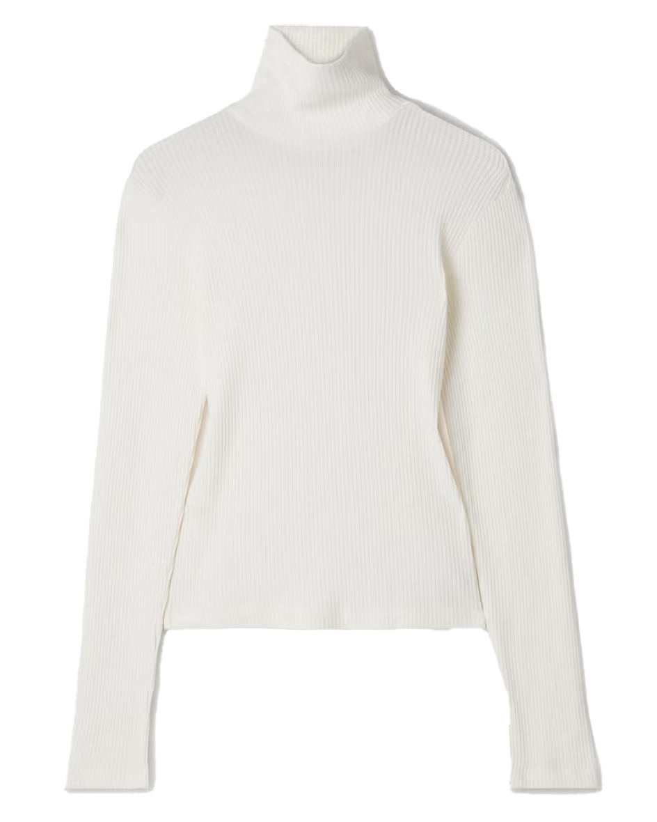 Caradene Ribbed Stretch-Lyocell Turtleneck Sweater