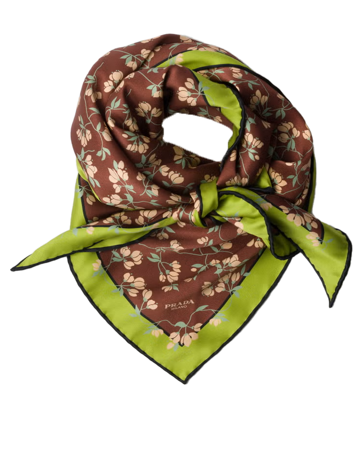 Printed Silk Twill Scarf
