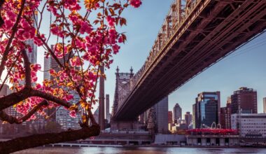 3rd teen arrested after boy falls down Queensboro Bridge shaft