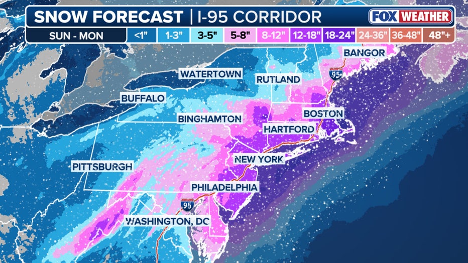Nor'easter snow potential (FOX Weather)