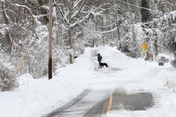 A man walks a dog down a road, Monday, Feb. 23, 2026, in St. James, N.Y. (AP Photo/Heather Khalifa)