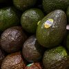 Avocados imported from Mexico are for sale at a grocery store in New York on April 8, 2025.