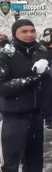 Bronx man busted for assaulting cops during Washington Square Park snowball fight 5