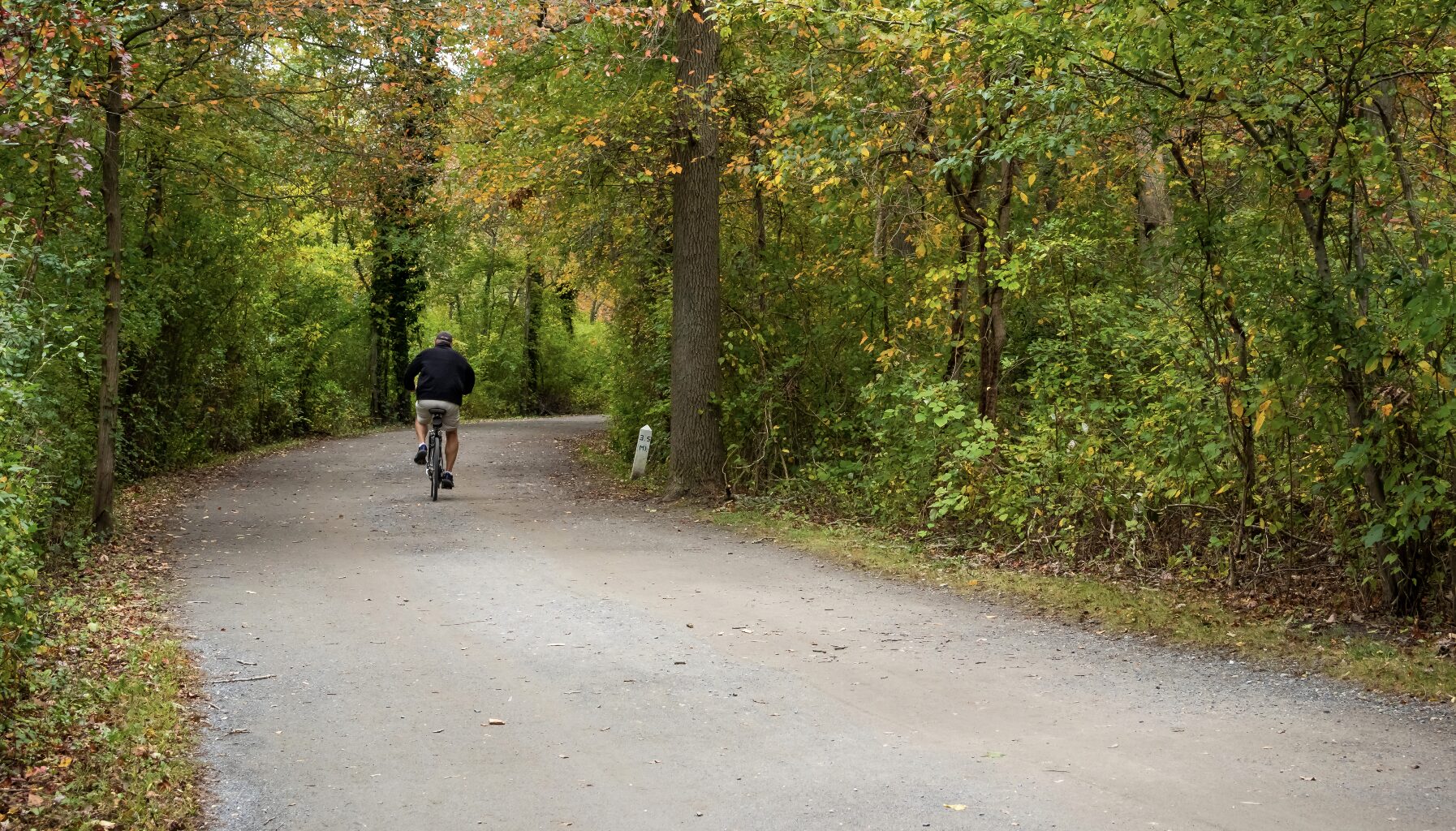 These are the Most Scenic Bike Trails in New York: See Full List