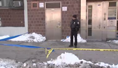 Brooklyn body parts investigation: Woman found dead in trash bag in NYCHA building believed to be accident