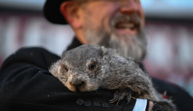 Groundhog Day: Punxsutawney Phil is said to have seen his shadow, forecasting 6 more weeks of wintry weather
