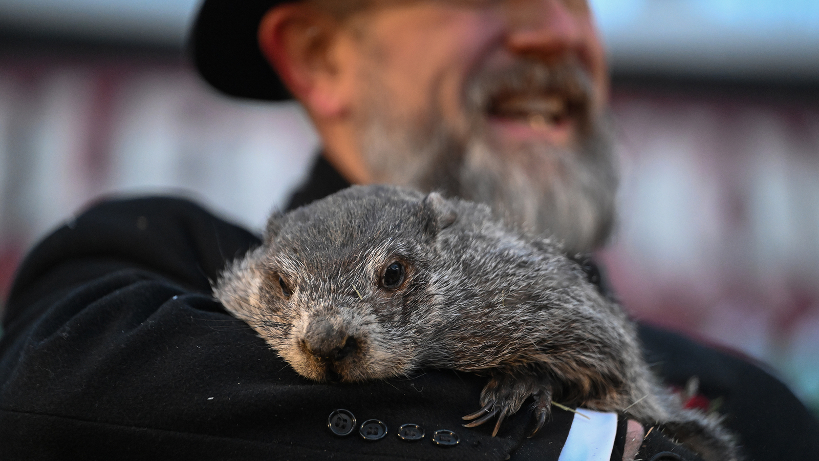 Groundhog Day: Punxsutawney Phil is said to have seen his shadow, forecasting 6 more weeks of wintry weather