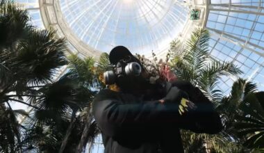 NYBG annual orchid show opens Saturday featuring Queens native and floral artist Mr. Flower Fantastic's Concrete Jungle