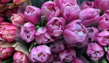 J-Rose wholesale florist in Floral District is booked and busy ahead of Valentine's Day weekend