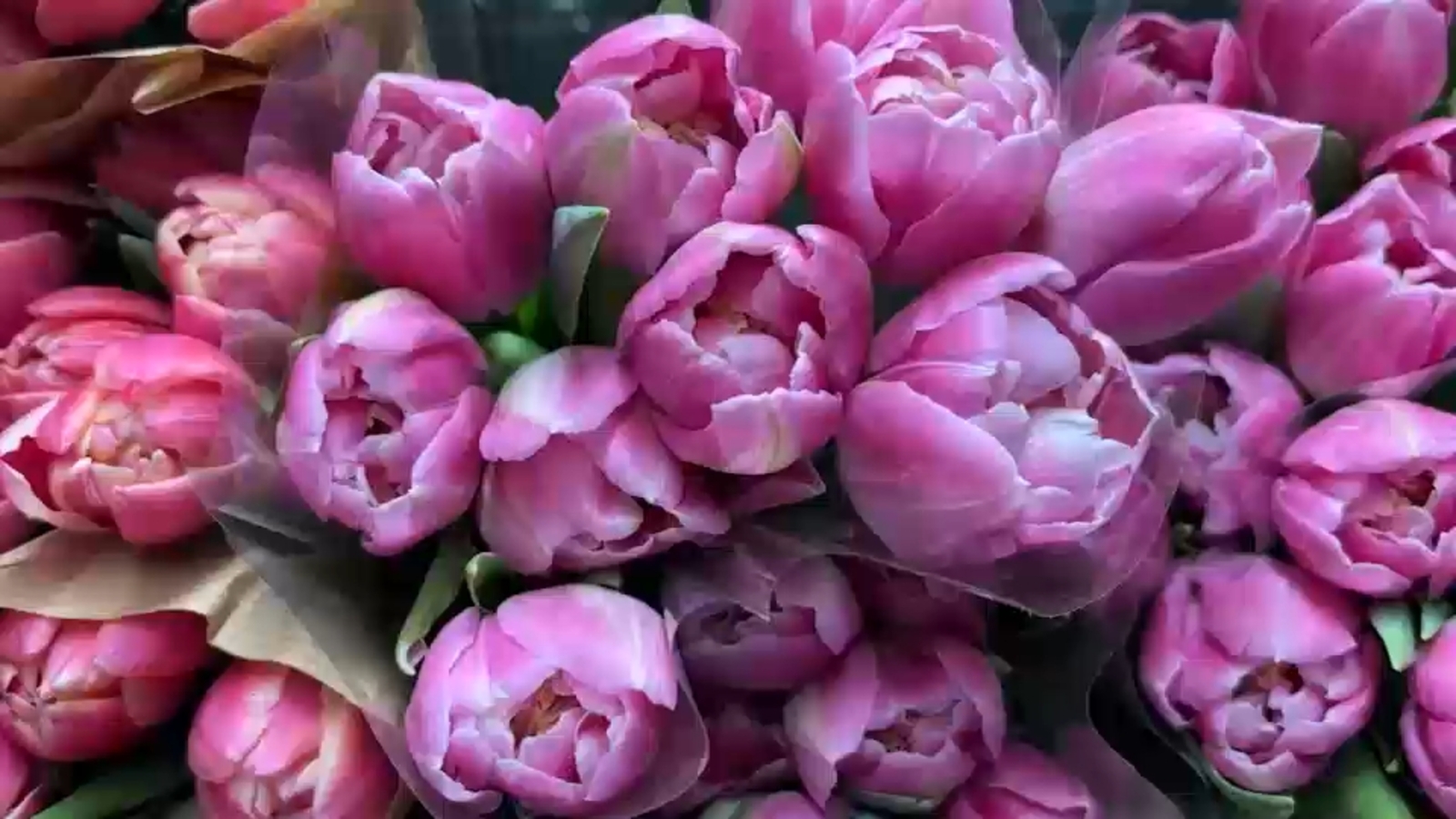 J-Rose wholesale florist in Floral District is booked and busy ahead of Valentine's Day weekend