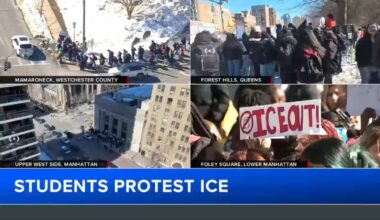 ICE student walkout: High schoolers protest ICE's anti-immigration efforts across NY