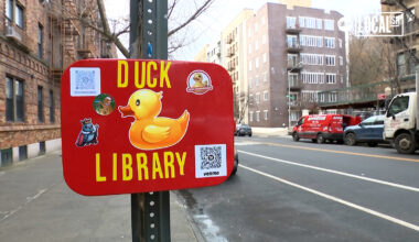 Duck Library brings waddling whimsy to NYC streets