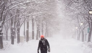 Thousands of New Yorkers ask Mamdani in petition to switch to remote learning on Tuesday
